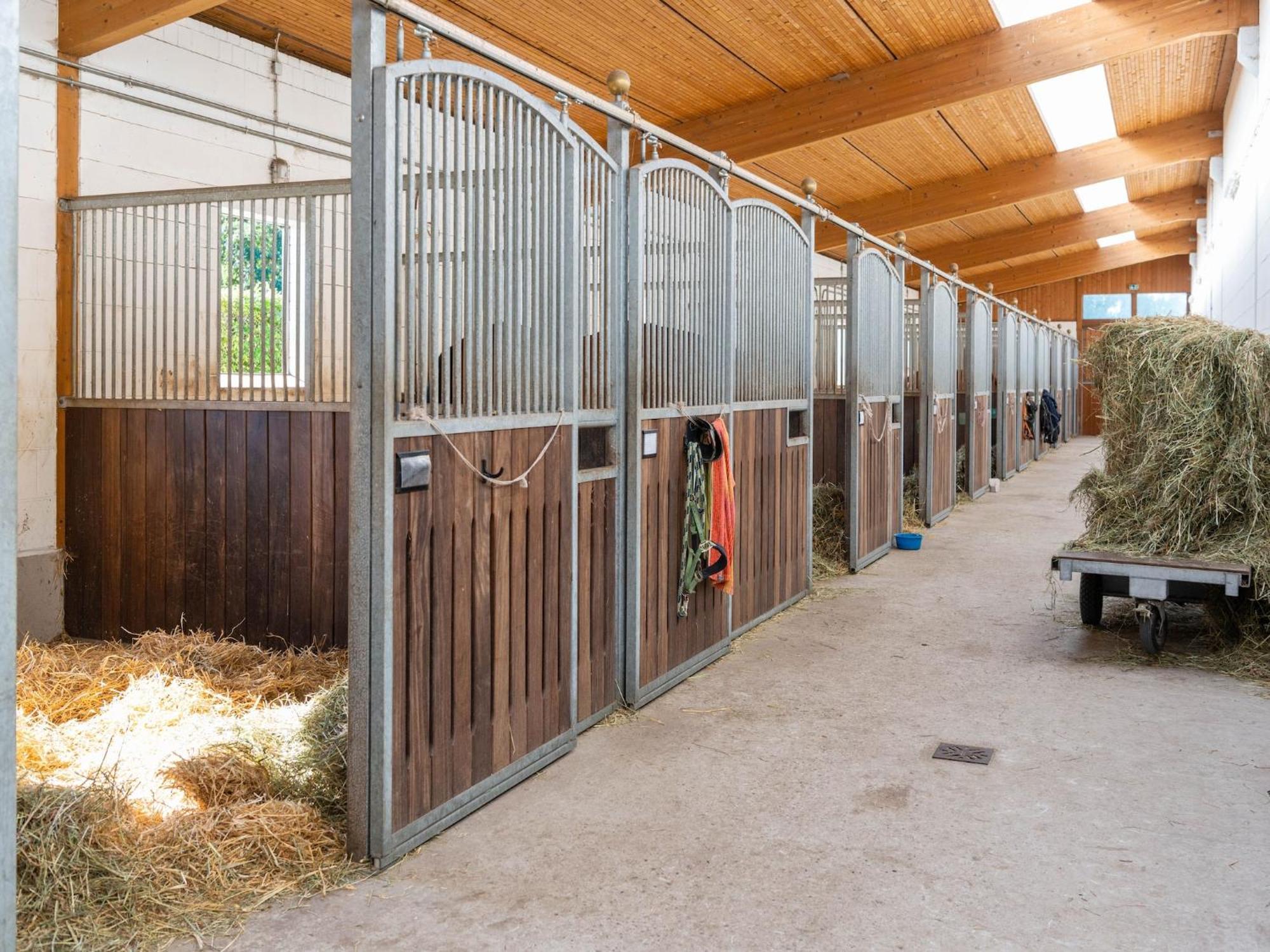 Holiday Home On A Horse Farm In The L Neburg Heath Eschede Extérieur photo