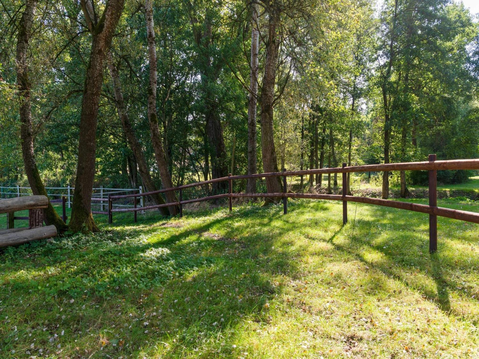 Holiday Home On A Horse Farm In The L Neburg Heath Eschede Extérieur photo